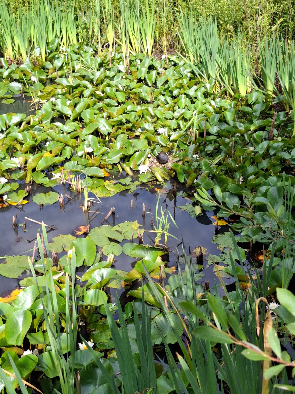 My favourite Zen places in&nbsp;Southampton.