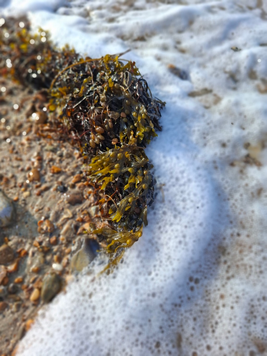 My top 3 places for swimming in the sea in the South of&nbsp;UK