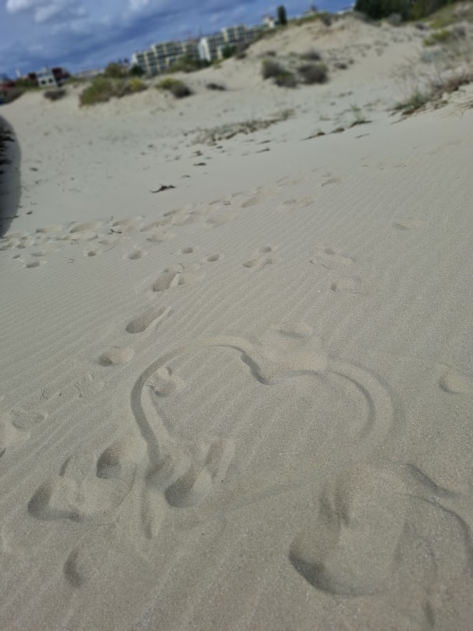 “No man is a failure if he has&nbsp;friends”.